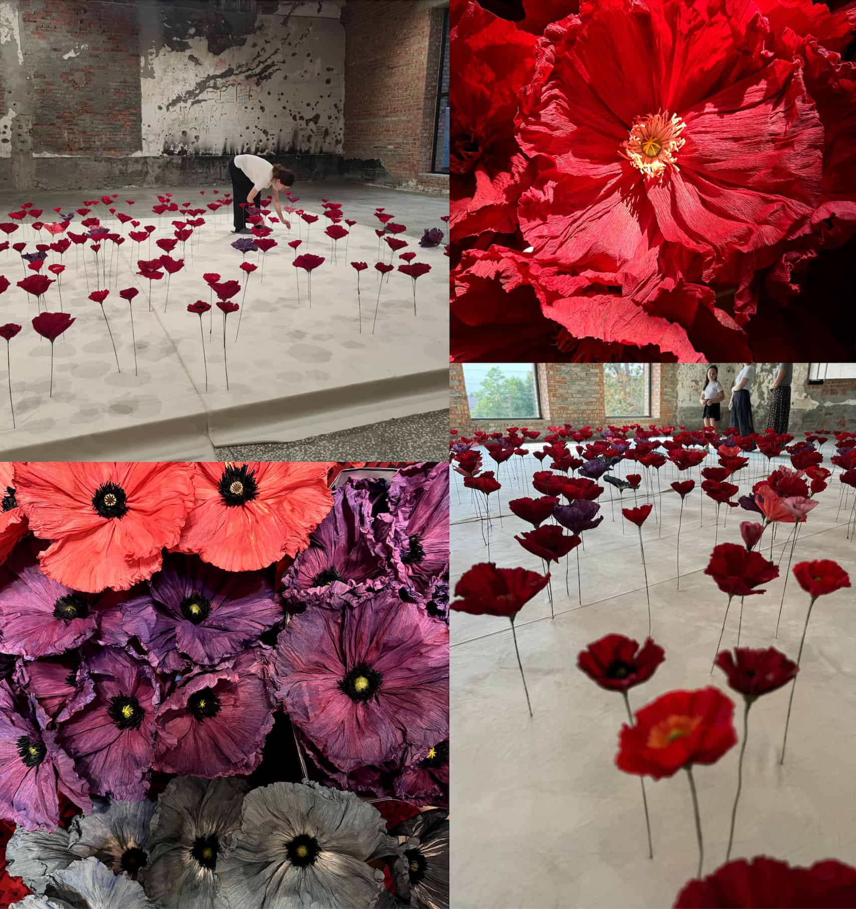 Beslan Flowers